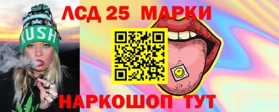 индика Моздок