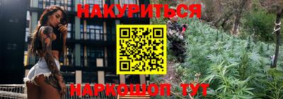 индика Моздок
