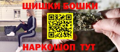 индика Моздок