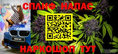 индика Моздок