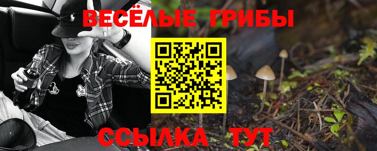 Псилоцибиновые грибы мицелий Урай